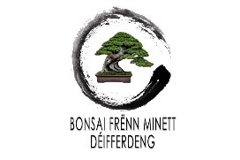 Bonsai frenn Minet Differdange