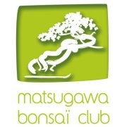 Matsugawa bonsai club