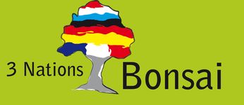 3 Nations bonsai - international bonsai show